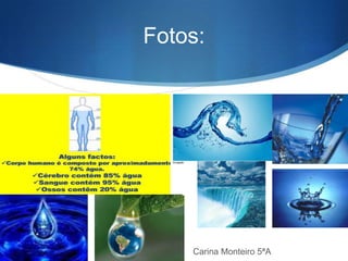 Fotos:
S Carina Monteiro 5ªA
 