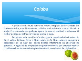 A goiaba é uma fruta nativa da América tropical, que se adapta em
diferentes solos, mas é importante cultivá-la em locais onde o vento frio não a
atinja. É encontrada em qualquer época do ano, é saudável e saborosa. O
melhor período de safra ocorre entre janeiro e maio.
Possui alto valor nutritivo. Contém grande quantidade de vitaminas A,
B1, C, cálcio, fósforo, ferro e fibras solúveis. As fibras solúveis possuem a
capacidade de se ligar aos ácidos biliares interferindo na absorção de
gorduras. A ingestão de um pedaço de goiaba vermelha por dia pode reduzir
consideravelmente os níveis de pressão arterial, do colesterol e triglicérides.
Goiaba
 