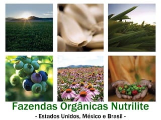 Fazendas Orgânicas Nutrilite - Estados Unidos, México e Brasil - 