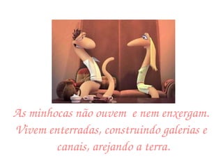 As minhocas não ouvem  e nem enxergam. Vivem enterradas, construindo galerias e canais, arejando a terra.  