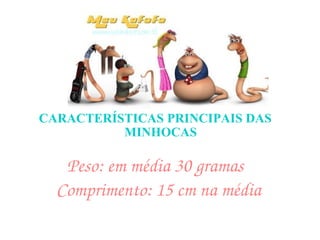 CARACTERÍSTICAS PRINCIPAIS DAS MINHOCAS Peso: em média 30 gramas Comprimento: 15 cm na média  