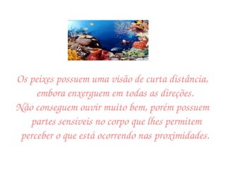 Os peixes possuem uma visão de curta distância, embora enxerguem em todas as direções.  Não conseguem ouvir muito bem, porém possuem partes sensíveis no corpo que lhes permitem perceber o que está ocorrendo nas proximidades.  