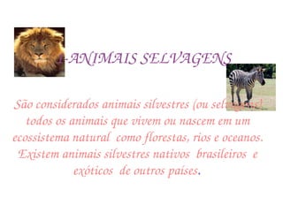 1-ANIMAIS SELVAGENS São considerados animais silvestres (ou selvagens) todos os animais que vivem ou nascem em um ecossistema natural  como florestas, rios e oceanos. Existem animais silvestres nativos  brasileiros  e exóticos  de outros países . 
