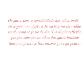 Os gatos tem  a sensibilidade dos olhos onde enxergam um objeto a 10 metros na escuridão total, como se fosse de dia. É a dupla reflexão que faz com que os olhos dos gatos brilhem tanto na presençe luz, mesmo que seja pouca. 