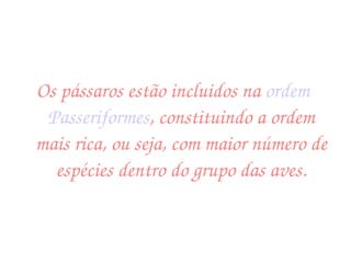 Os pássaros estão incluidos na  ordem   Passeriformes , constituindo a ordem mais rica, ou seja, com maior número de espécies dentro do grupo das aves. 