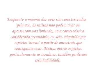 Enquanto a maioria das aves são caracterizadas pelo voo, as ratitas não podem voar ou apresentam voo limitado, uma característica considerada secundária, ou seja, adquirida por espécies "novas" a partir de ancestrais que conseguiam voar. Muitas outras espécies, particularmente as insulares, também perderam essa habilidade.   