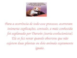 Para a ocorrência de todo esse processo, ocorreram inúmeras explicações, contudo, a mais conhecida foi explanada por Darwin (teoria evolucionista). Ele se fez notar quando observou que não existem duas plantas ou dois animais exatamente iguais. 