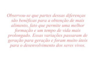Observou-se que partes dessas diferenças são benéficas para a obtenção de mais alimento, fato que permite uma melhor formação e um tempo de vida mais prolongado. Essas variações passaram de geração para geração e foram muito úteis para o desenvolvimento dos seres vivos. 