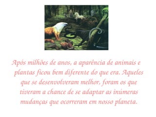 Após milhões de anos, a aparência de animais e plantas ficou bem diferente do que era. Aqueles que se desenvolveram melhor, foram os que tiveram a chance de se adaptar as inúmeras mudanças que ocorreram em nosso planeta. 