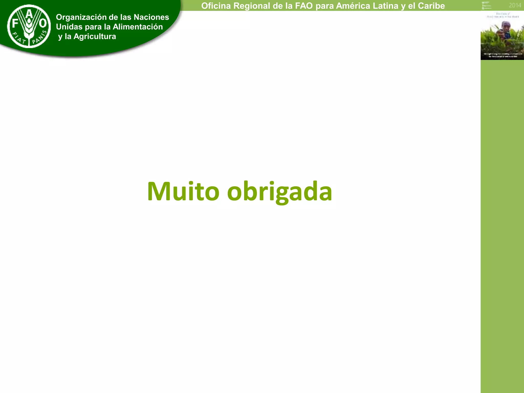 Economic and Social Development Department 
Organización de las Naciones 
Unidas para la Alimentación 
y la Agricultura 
Oficina Regional de la FAO para América Latina y el Caribe 
Muito obrigada 

