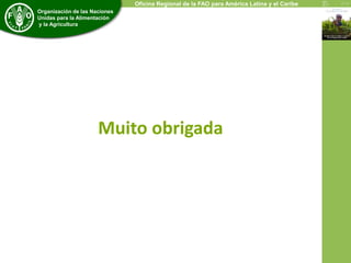 Economic and Social Development Department 
Organización de las Naciones 
Unidas para la Alimentación 
y la Agricultura 
Oficina Regional de la FAO para América Latina y el Caribe 
Muito obrigada 
