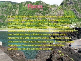 • A ILHA DAS FLORES SITUA-SE NO GRUPO OCIDENTAL DO ARQUIPÉLAGO
DOS AÇORES, SENDO A MAIOR DAS ILHAS QUE COMPÕEM AQUELE
GRUPO. OCUPA UMA ÁREA DE 141,7 KM², NA SUA MAIOR PARTE
CONSTITUÍDA POR TERRENO MONTANHOSO, CARACTERIZADO POR
GRANDES RAVINAS E GIGANTESCAS FALÉSIAS. O PONTO MAIS ALTO DA
ILHA É O MORRO ALTO, A 914 M DE ALTITUDE. A POPULAÇÃO
RESIDENTE É DE 3 793 HABITANTES (2011), REPARTINDO-SE PELOS
CONCELHOS DE SANTA CRUZ E LAJES DAS FLORES. É FREQUENTEMENTE
CONSIDERADA COMO O PONTO MAIS OCIDENTAL DA EUROPA
(OBVIAMENTE FORA DO CONTINENTE EUROPEU).
 