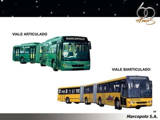 VIALE ARTICULADO VIALE BIARTICULADO 