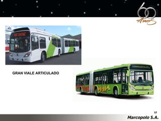 GRAN VIALE ARTICULADO 