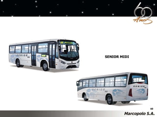 SENIOR MIDI 