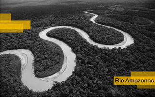 Rio Amazonas
 