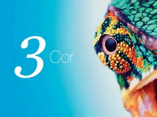 Apresentação Atendimento