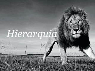 Apresentação Atendimento