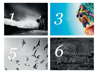 Apresentação Atendimento