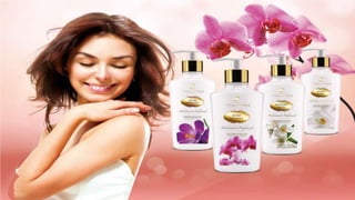 Apresentacao atualizada 2015 Boulevard Monde