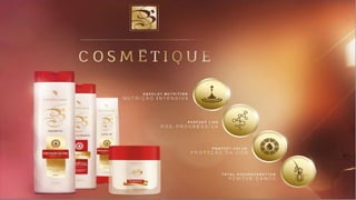 Apresentacao atualizada 2015 Boulevard Monde