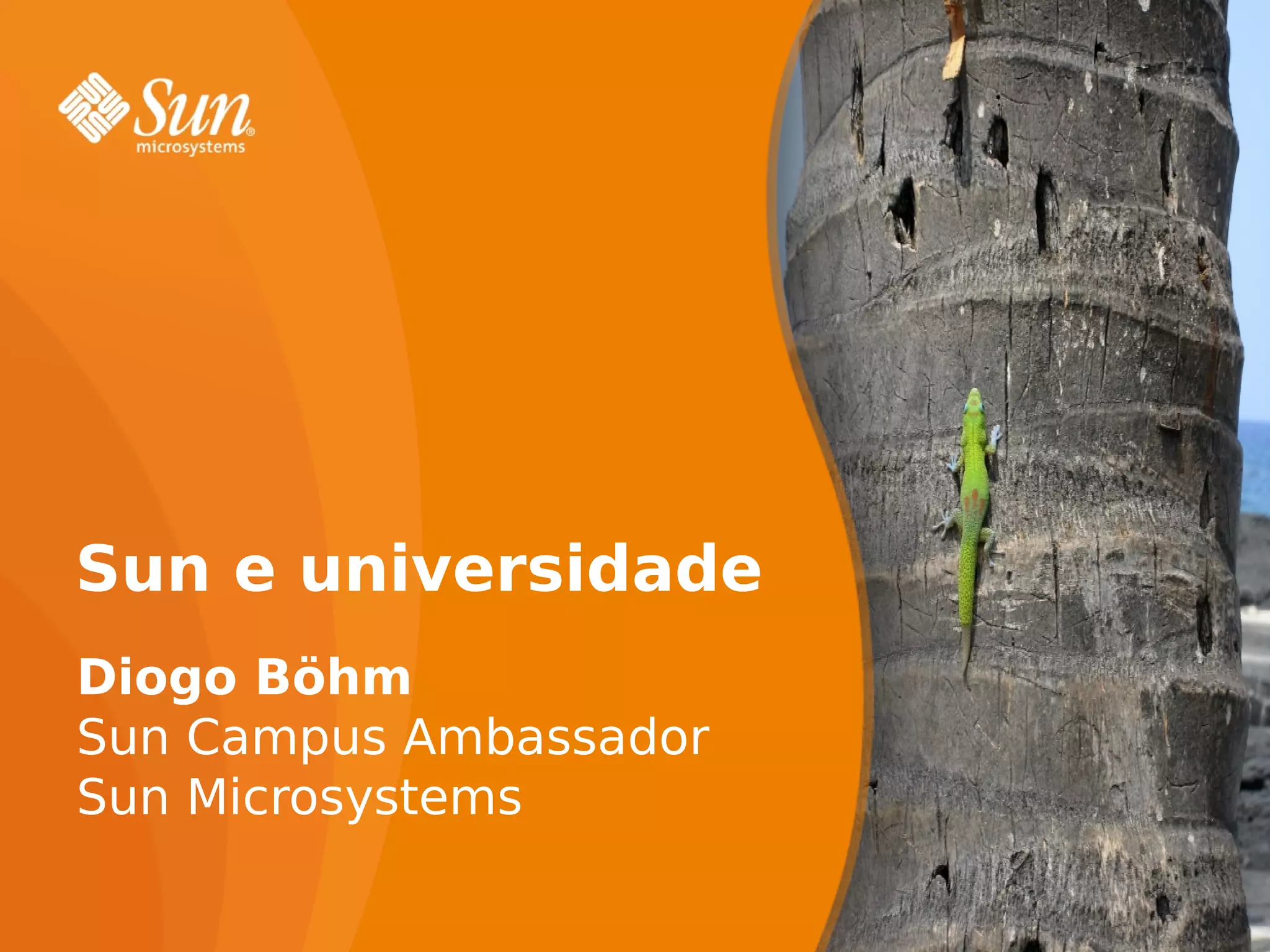 Sun e universidade