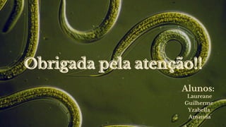 Obrigada pela atenção!!
Obrigada pela atenção!!
Laureane
Guilherme
Yzabella
Amanda
Alunos:
 