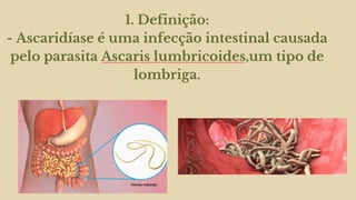 1. Definição:
- Ascaridíase é uma infecção intestinal causada
pelo parasita Ascaris lumbricoides,um tipo de
lombriga.
 