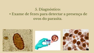 5. Diagnóstico:
• Exame de fezes para detectar a presença de
ovos do parasita.
 