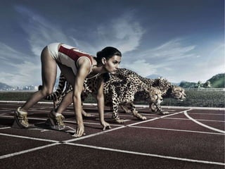 EGIS Maio de 2010 Início de desenvolvimento do produto Junho 2011 Lançamento da versão de teste Agosto de 2011 Lançamento comercial do produto egis.com.br 