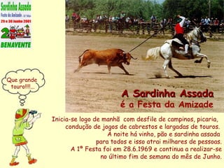 Inicia-se logo de manhã  com desfile de campinos, picaria,  condução de jogos de cabrestos e largadas de touros.  À noite há vinho, pão e sardinha assada  para todos e isso atrai milhares de pessoas. A 1ª Festa foi em 28.6.1969 e continua a realizar-se no último fim de semana do mês de Junho. A Sardinha Assada é a Festa da Amizade Que grande  touro!!!!... 