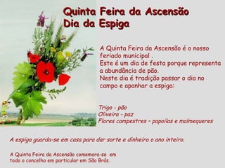 A Quinta Feira da Ascensão é o nosso feriado municipal . Este é um dia de festa porque representa a abundância de pão. Neste dia é tradição passar o dia no campo e apanhar a espiga: A Quinta Feira da Ascensão comemora-se  em  todo o concelho em particular em São Brás. Quinta Feira da Ascensão Dia da Espiga  Trigo - pão Oliveira - paz Flores campestres – papoilas e malmequeres  A espiga guarda-se em casa para dar sorte e dinheiro o ano inteiro.  