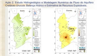 Ação 2. Estudo Hidrogeológico e Modelagem Numérica de Fluxo do Aquífero
Cretáceo Urucuia: Balanço Hídrico e Estimativa de Recursos Explotáveis.
Sódio Cloreto
 