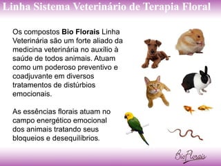 Linha Sistema Veterinário de Terapia Floral

  Os compostos Bio Florais Linha
  Veterinária são um forte aliado da
  medicina veterinária no auxílio à
  saúde de todos animais. Atuam
  como um poderoso preventivo e
  coadjuvante em diversos
  tratamentos de distúrbios
  emocionais.

  As essências florais atuam no
  campo energético emocional
  dos animais tratando seus
  bloqueios e desequilíbrios.
 