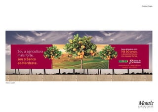 Outdoor Duplo
18,80m x 2,90m
 