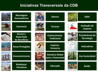 Iniciativas Transversais da CDB
Conhecimento
Tradicional
Educação
Iniciativa Global
para a Taxonomia
Espécies
Invasoras
Turismo
Gênero
Áreas Protegidas
Acesso e
Repartição
de Benefícios
Desenvolvimento
Abordagem
Ecossistêmica
Mudanças
Climáticas
Economia
Transferência de
Tecnologia
Indicadores
Avaliação de
Impacto
GSPC
Uso Sustentável
Saúde
 