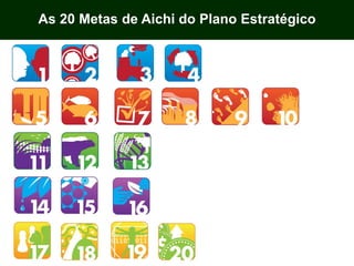 As 20 Metas de Aichi do Plano Estratégico
 