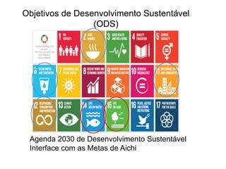 Objetivos de Desenvolvimento Sustentável
(ODS)
Agenda 2030 de Desenvolvimento Sustentável
Interface com as Metas de Aichi
 