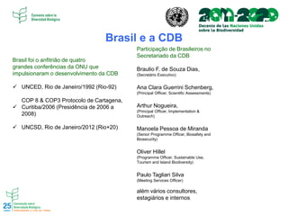 Brasil e a CDB
Brasil foi o anfitrião de quatro
grandes conferências da ONU que
impulsionaram o desenvolvimento da CDB
✓ UNCED, Rio de Janeiro/1992 (Rio-92)
COP 8 & COP3 Protocolo de Cartagena,
✓ Curitiba/2006 (Presidência de 2006 a
2008)
✓ UNCSD, Rio de Janeiro/2012 (Rio+20)
Participação de Brasileiros no
Secretariado da CDB
Braulio F. de Souza Dias,
(Secretário Executivo)
Ana Clara Guerrini Schenberg,
(Principal Officer, Scientific Assessments)
Arthur Nogueira,
(Principal Officer, Implementation &
Outreach)
Manoela Pessoa de Miranda
(Senior Programme Officer, Biosafety and
Biosecurity)
Oliver Hillel
(Programme Officer, Sustainable Use,
Tourism and Island Biodiversity)
Paulo Tagliari Silva
(Meeting Services Officer)
além vários consultores,
estagiários e internos
 