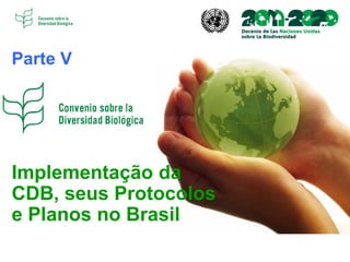 Implementação da
CDB, seus Protocolos
e Planos no Brasil
Parte V
 