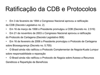 Ratificação da CDB e Protocolos
• Em 3 de fevereiro de 1994 o Congresso Nacional aprovou a ratificação
da CDB (Decreto Legislativo no. 2)
• Em 16 de março de 1998 o Presidente promulgou a CDB (Decreto no. 2.519)
• Em 21 de novembro de 2003 o Congresso Nacional aprovou a ratificação
do Protocolo de Cartagena (Decreto Legislativo 908)
• Em 16 de fevereiro de 2006 o Presidente promulgou o Protocolo de Cartagena
sobre Biossegurança (Decreto no. 5.705)
• O Brasil ainda não ratificou o Protocolo Complementar de Nagoia-Kuala Lumpur
sobre responsabilidade e reparação
• O Brasil ainda não ratificou o Protocolo de Nagoia sobre Acesso a Recursos
Genéticos e Repartição de Benefícios
 