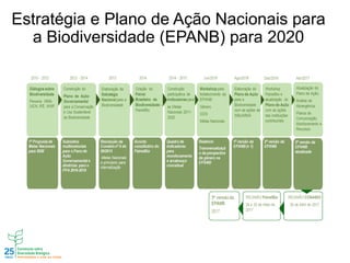 Estratégia e Plano de Ação Nacionais para
a Biodiversidade (EPANB) para 2020
 