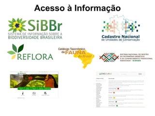 Acesso à Informação
 