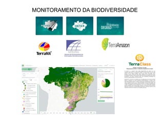 MONITORAMENTO DA BIODIVERSIDADE
 