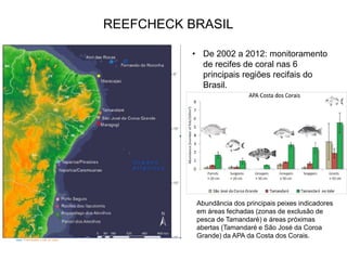 REEFCHECK BRASIL
• De 2002 a 2012: monitoramento
de recifes de coral nas 6
principais regiões recifais do
Brasil.
Abundância dos principais peixes indicadores
em áreas fechadas (zonas de exclusão de
pesca de Tamandaré) e áreas próximas
abertas (Tamandaré e São José da Coroa
Grande) da APA da Costa dos Corais.
 