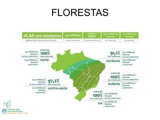 FLORESTAS
 