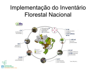 Implementação do Inventário
Florestal Nacional
 