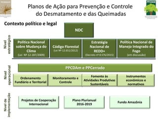 Contexto político e legal
Nível
de
implementação
Projetos de Cooperação
Internacional
Plano Plurianual
2016-2019
Fundo Amazônia
Nível
estratégico
Política Nacional
sobre Mudança do
Clima
(Lei Nº 12.187/2009)
Código Florestal
(Lei Nº 12.651/2012)
Política Nacional de
Manejo Integrado do
Fogo
(em discussão)
Estratégia
Nacional de
REDD+
(Decreto nº 8.576/2015)
Nível
operacional
PPCDAm e PPCerrado
Ordenamento
Fundiário e Territorial
Monitoramento e
Controle
Fomento às
Atividades Produtivas
Sustentáveis
Instrumentos
econômicos e
normativos
NDC
Planos de Ação para Prevenção e Controle
do Desmatamento e das Queimadas
 