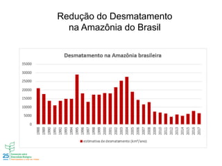 Redução do Desmatamento
na Amazônia do Brasil
 