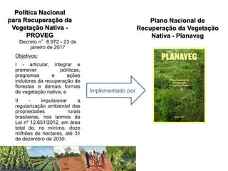 Política Nacional
para Recuperação da
Vegetação Nativa -
PROVEG
Decreto n°8.972 - 23 de
janeiro de 2017
Objetivos:
I - articular, integrar e
promover políticas,
programas e ações
indutoras da recuperação de
florestas e demais formas
de vegetação nativa; e
II - impulsionar a
regularização ambiental das
propriedades rurais
brasileiras, nos termos da
Lei nº 12.651/2012, em área
total de, no mínimo, doze
milhões de hectares, até 31
de dezembro de 2030.
Plano Nacional de
Recuperação da Vegetação
Nativa - Planaveg
Implementado por
 